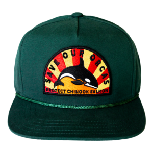 Save our orcas hat green